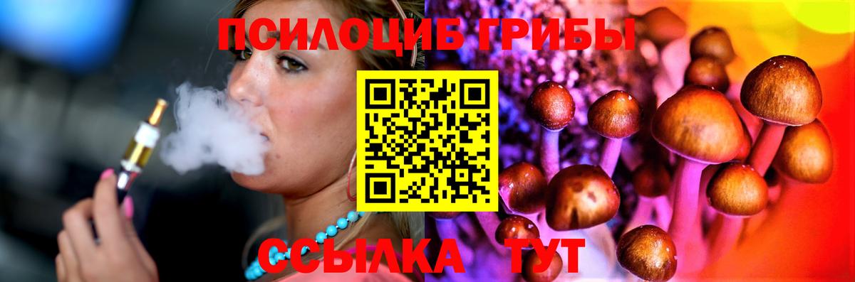 Кизляр  Псилоцибиновые грибы мухоморы  Вход с VPN 